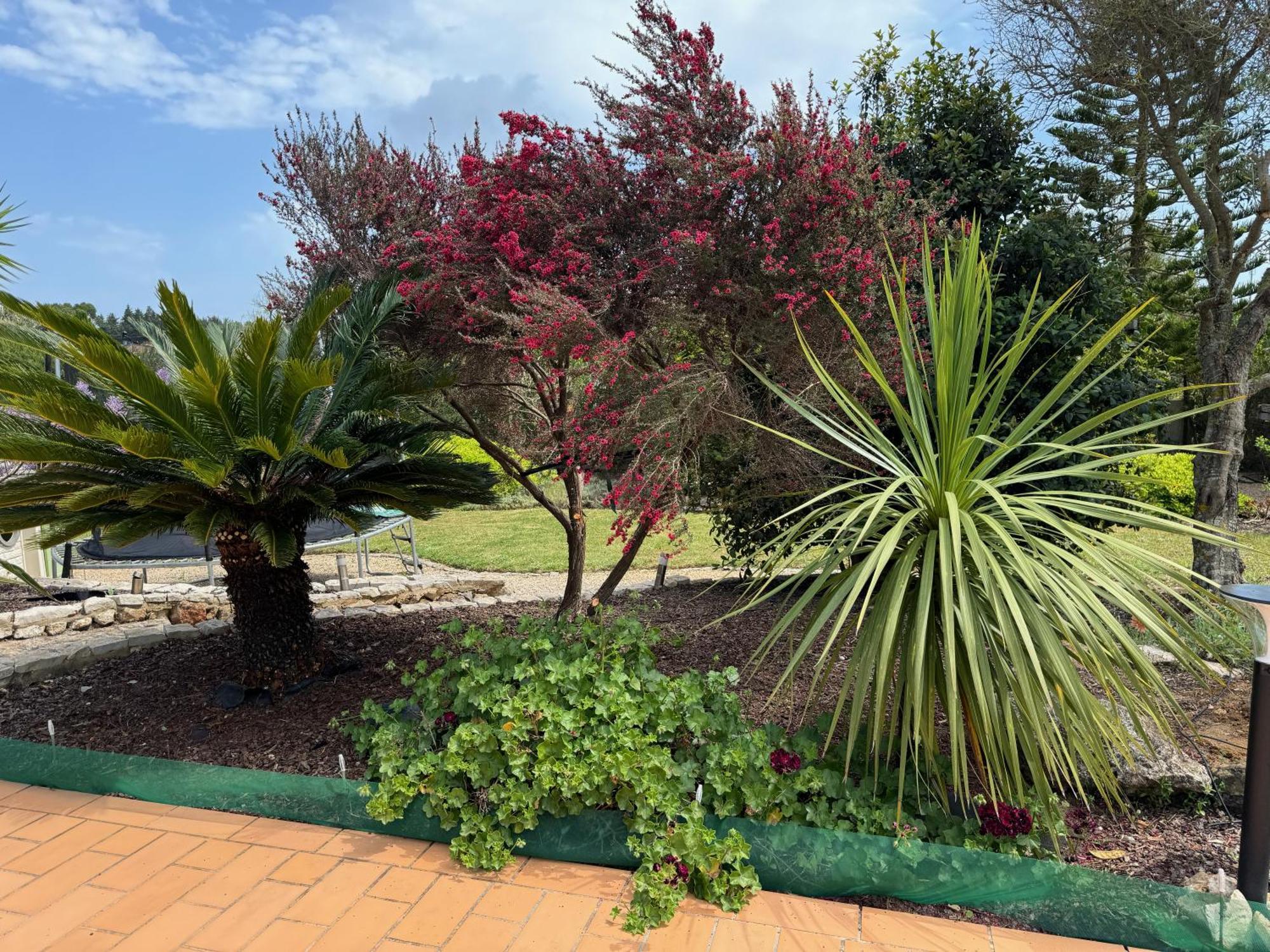 Villa Rubix Luz Buitenkant foto